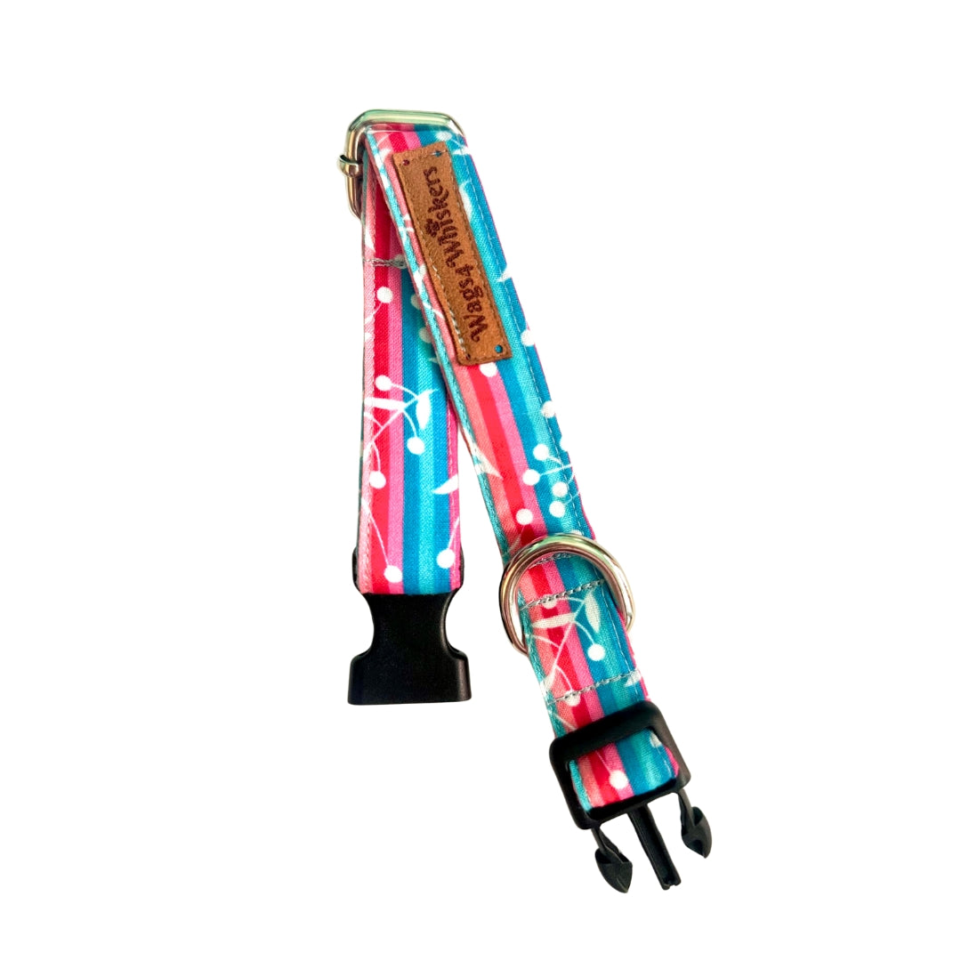 Puppy collar belts from Wags4Whiskers India