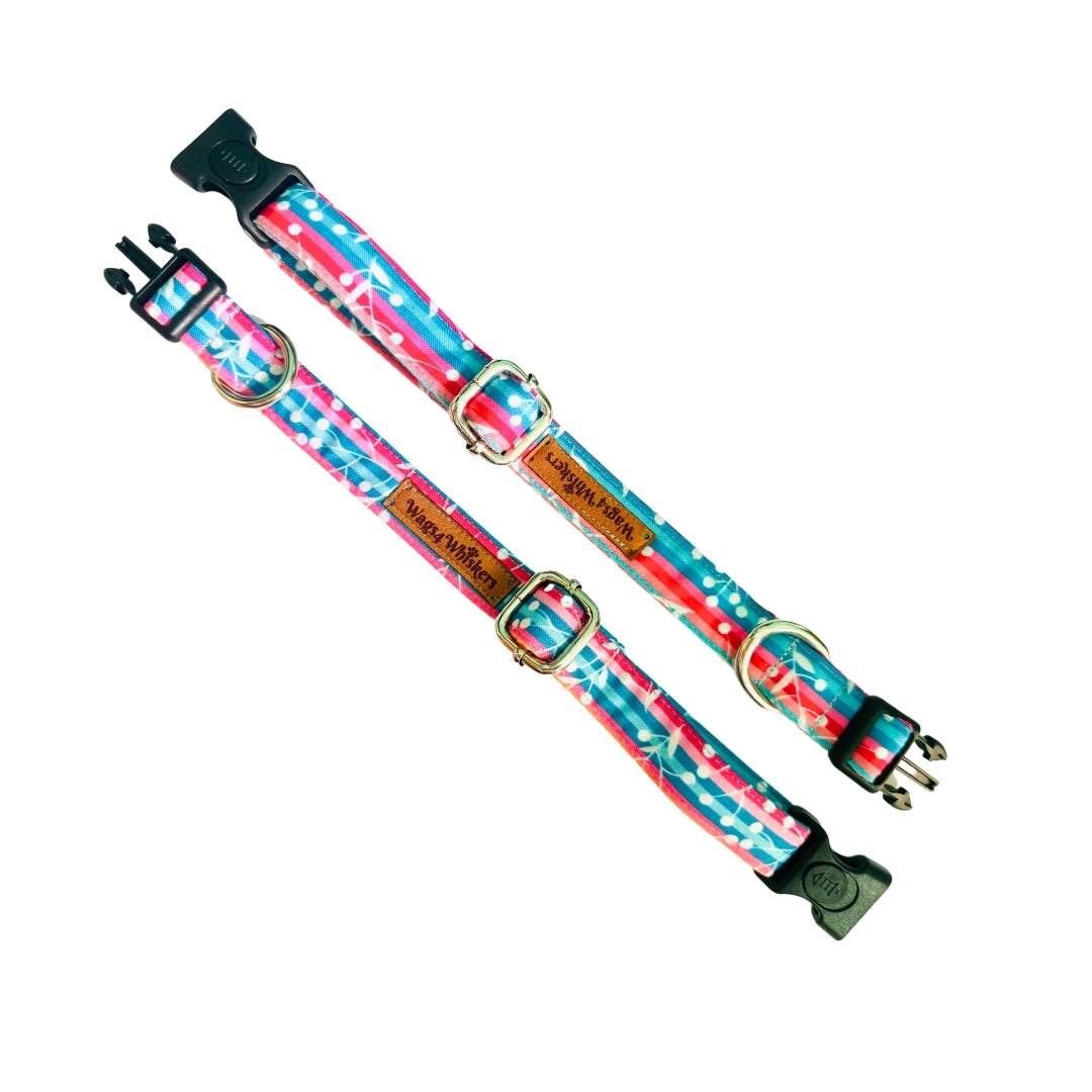 Puppy collar belts from Wags4Whiskers India