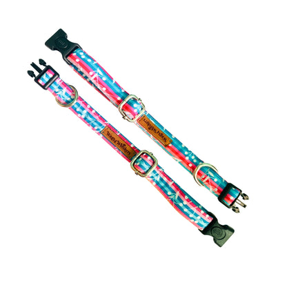 Puppy collar belts from Wags4Whiskers India