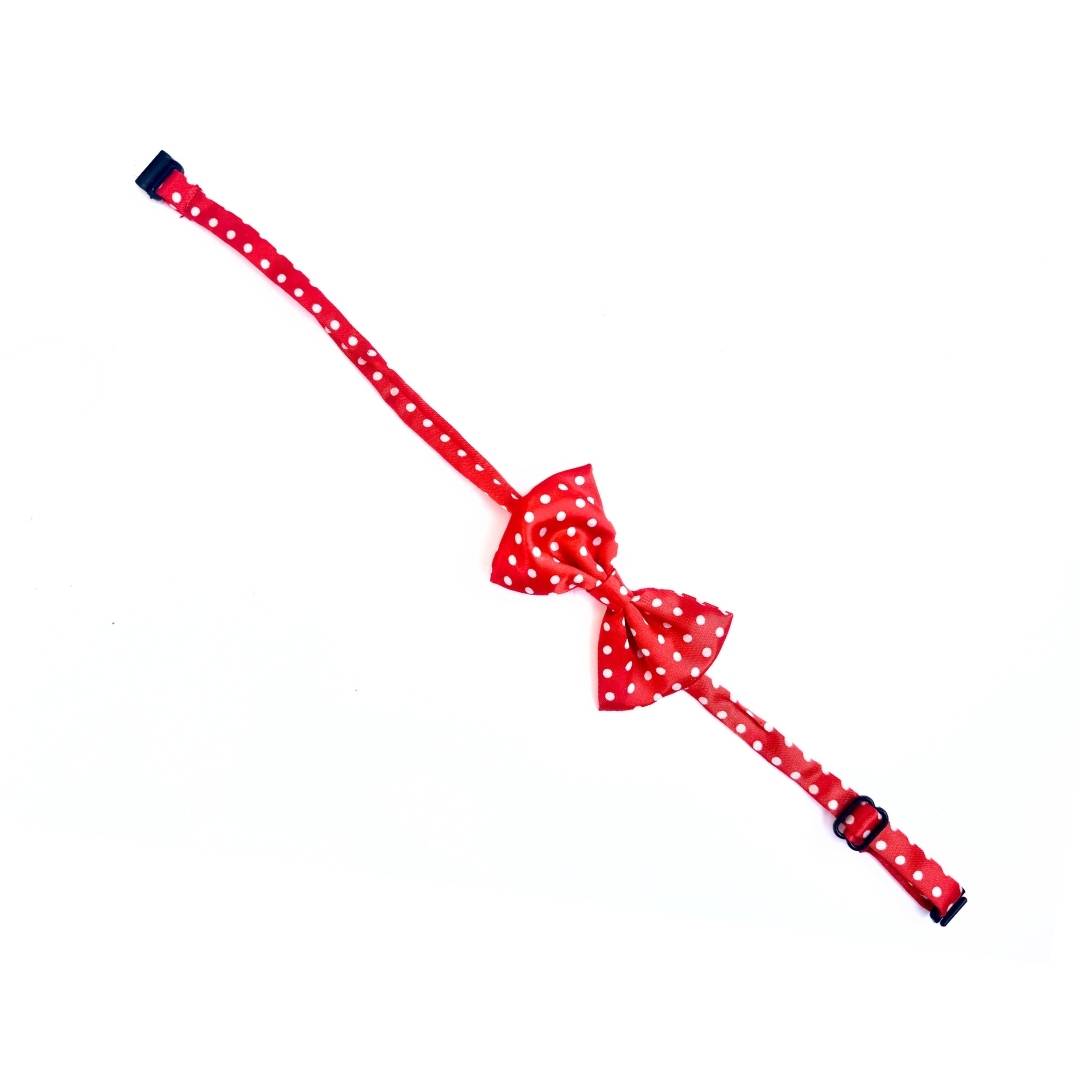 Red Polka Dots Cat Bow Tie