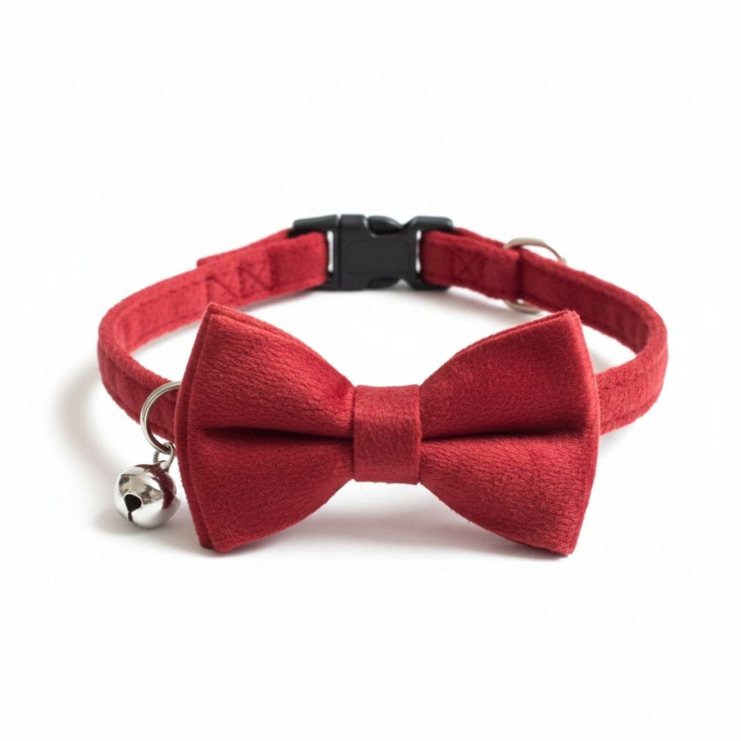 Red Cat Collar from Wags4Whiskers Pet Accessories Store India