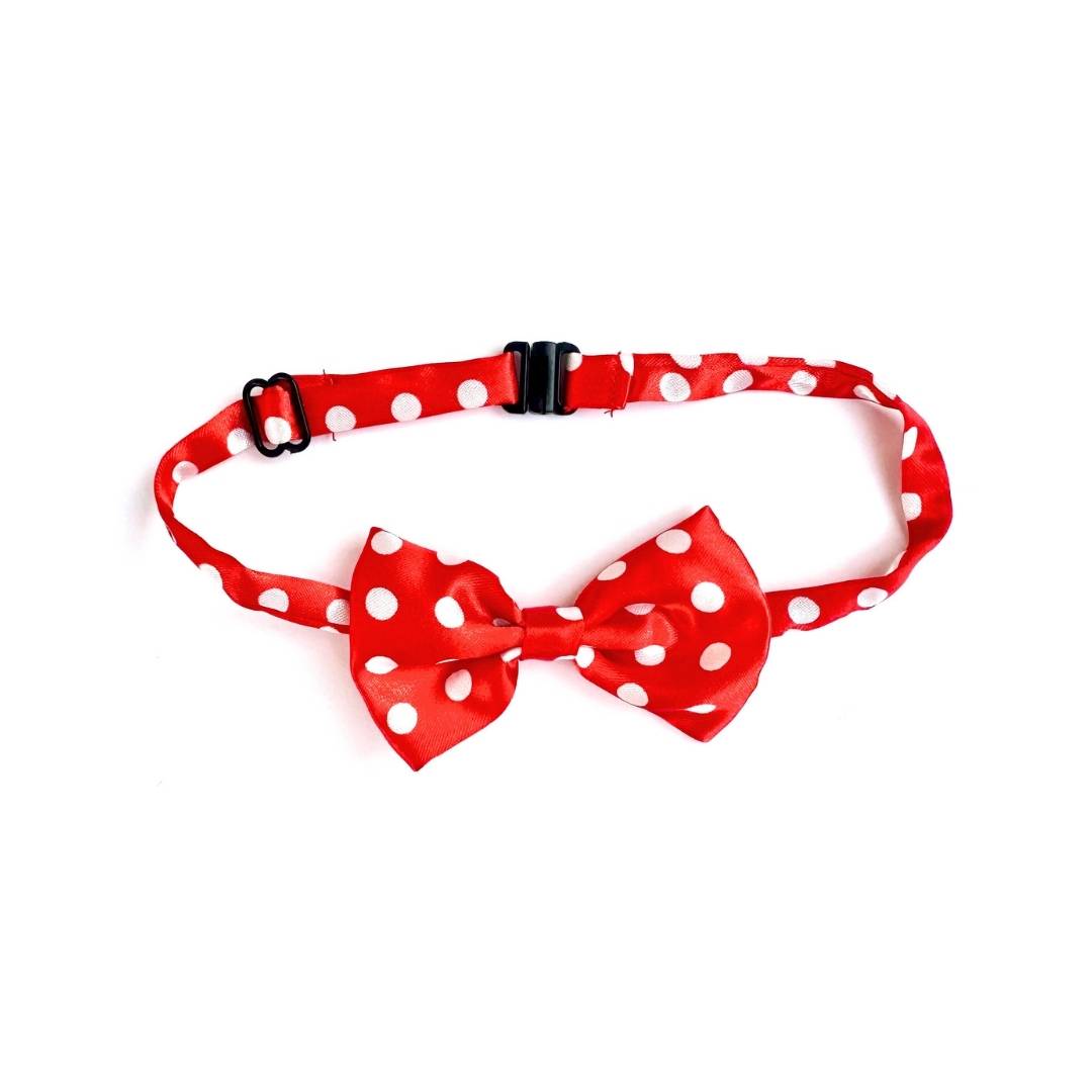 Cute Cat Bow Ties from Wags4Whiskers Pet Accessories Shop India
