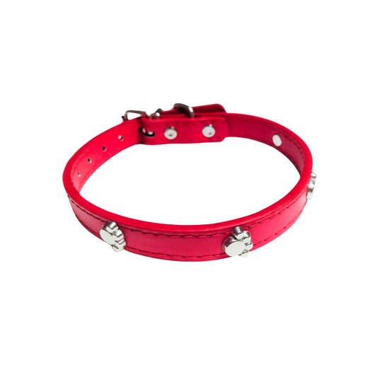 Red cat collars from wags4whiskers Pet Supplies India