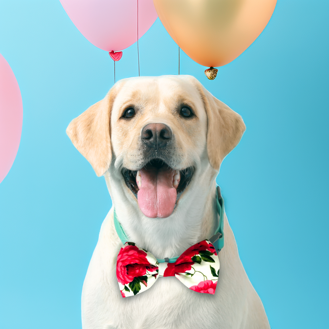 Red Classic Floral Bows from Wags4Whiskers Pet Store