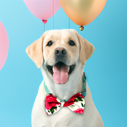 Red Classic Floral Bows from Wags4Whiskers Pet Store