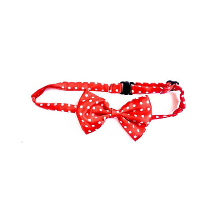 Cat Bow Ties from Wags4Whiskers Pet Accessories Shop India

