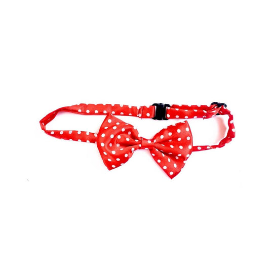 Cat Bow Ties from Wags4Whiskers Pet Accessories Shop India
