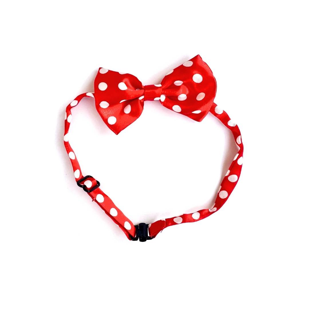 Cute Cat Bow Ties from Wags4Whiskers Pet Accessories Shop India