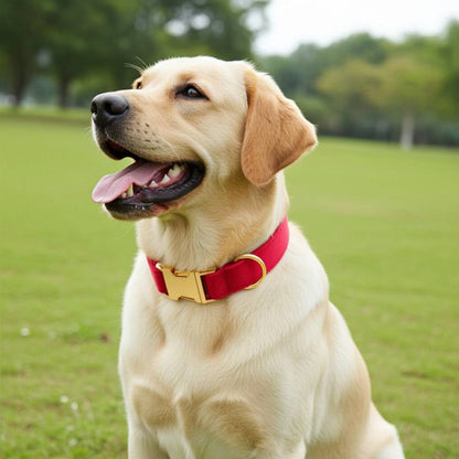 Red Velvet Dog Collars from Wags4Whiskers Pet Accessories Store India