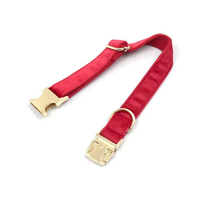 Velvet Dog Collars from Wags4Whiskers Pet Accessories Store India