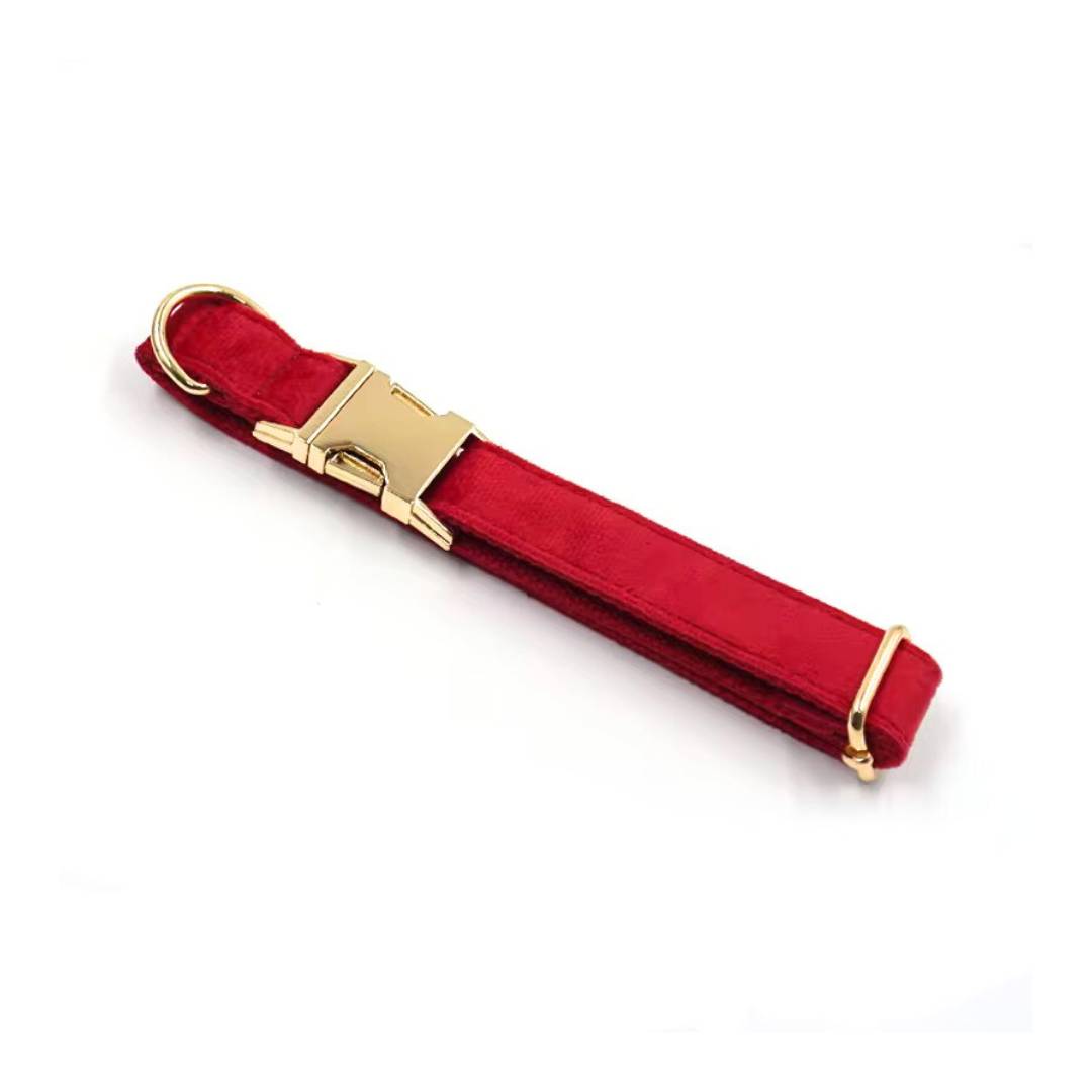 Velvet Dog Collars from Wags4Whiskers Pet Accessories Store India
