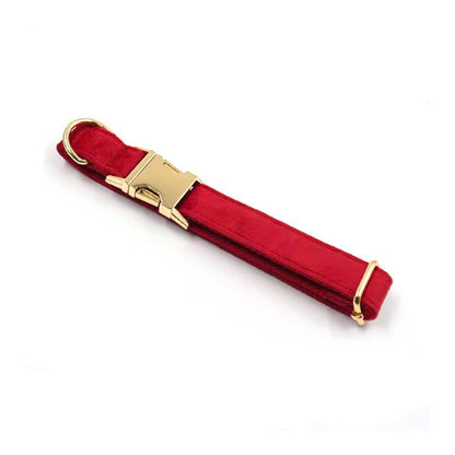 Velvet Dog Collars from Wags4Whiskers Pet Accessories Store India