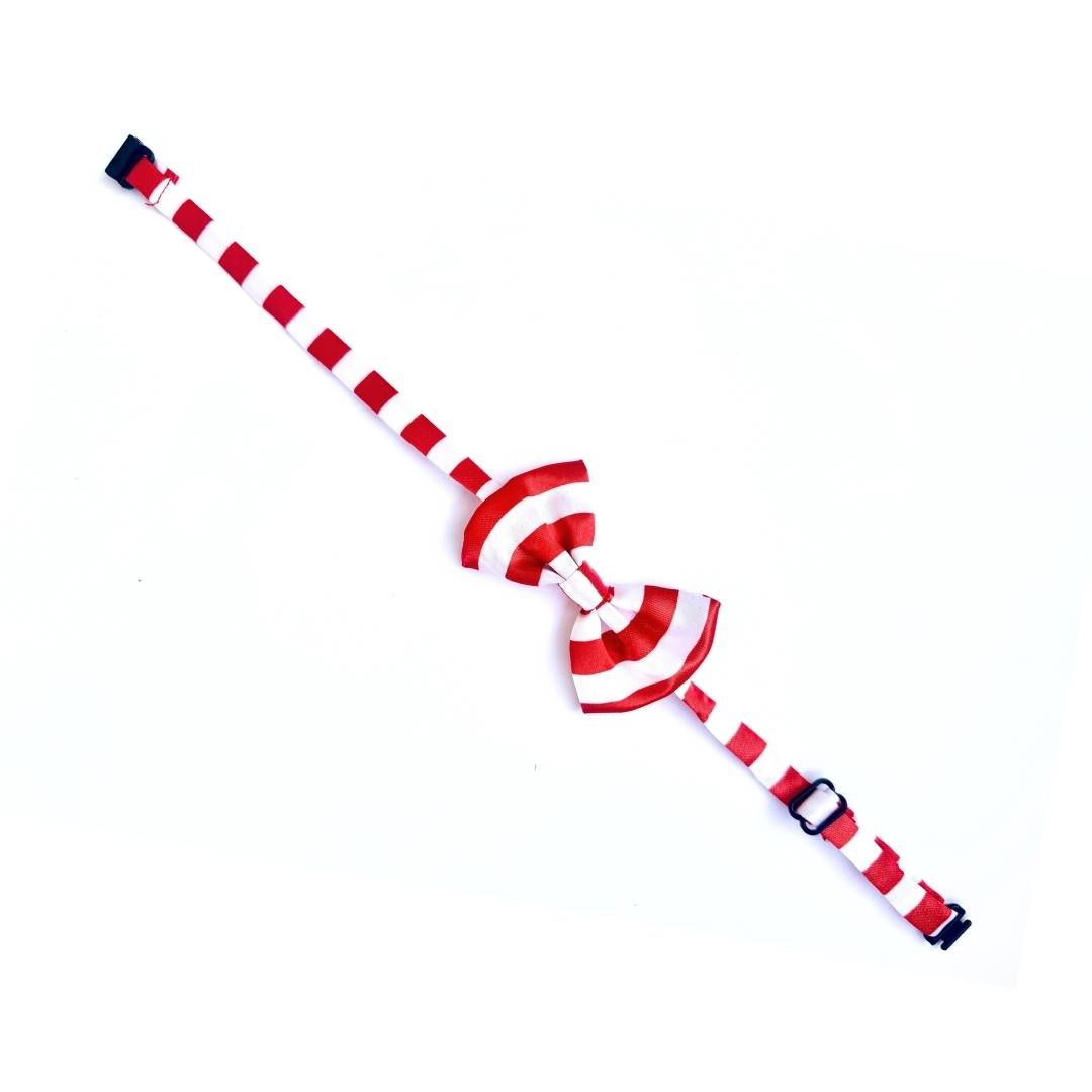 Cute Cute Cat Bow Ties from Wags4Whiskers Pet Accessories Shop India