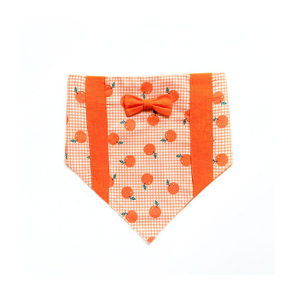 Dog  Bandanas and Cat Bandanas from Wags4Whiskers Pet Accessories Store India