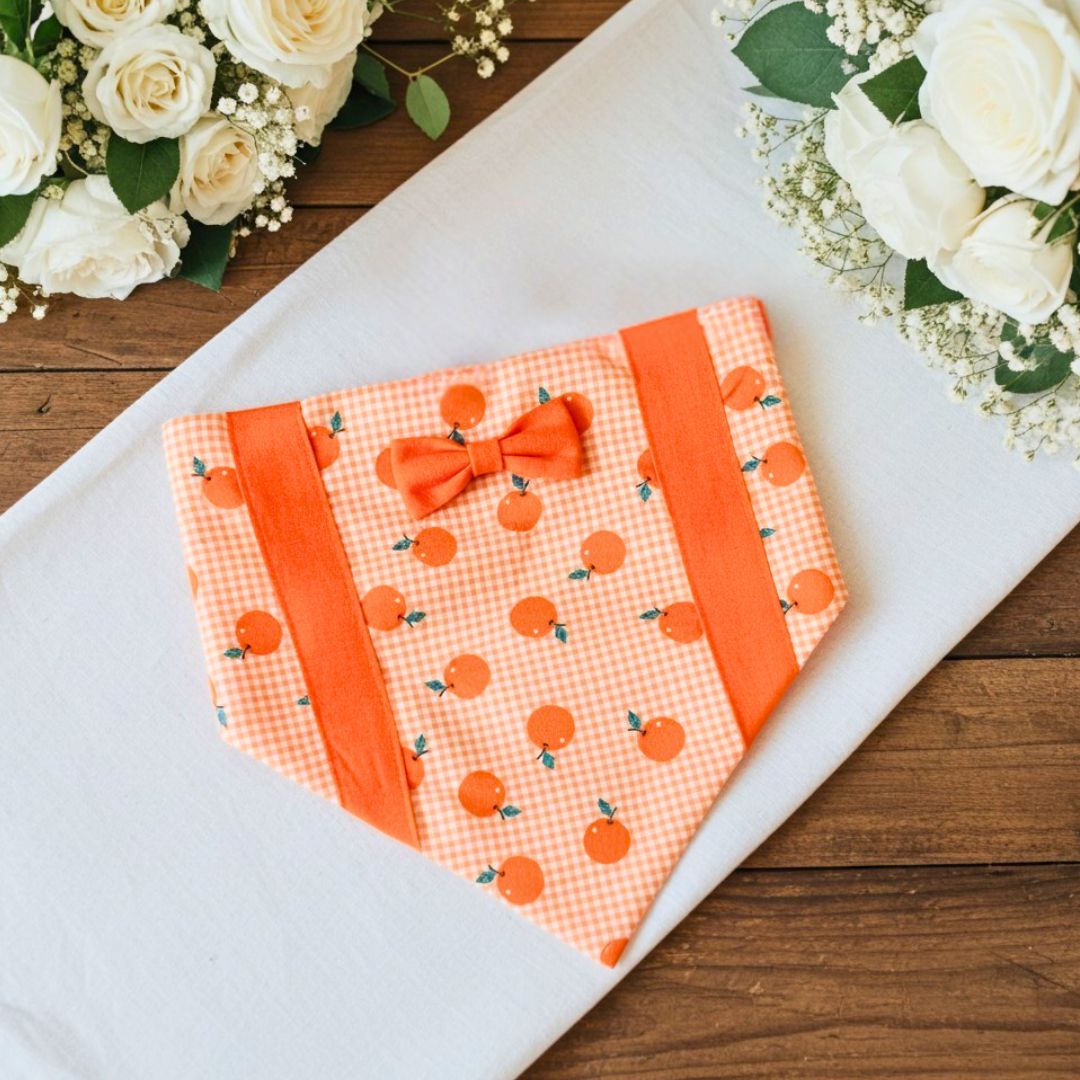 Dog  Bandanas and Cat Bandanas from Wags4Whiskers Pet Accessories Store India