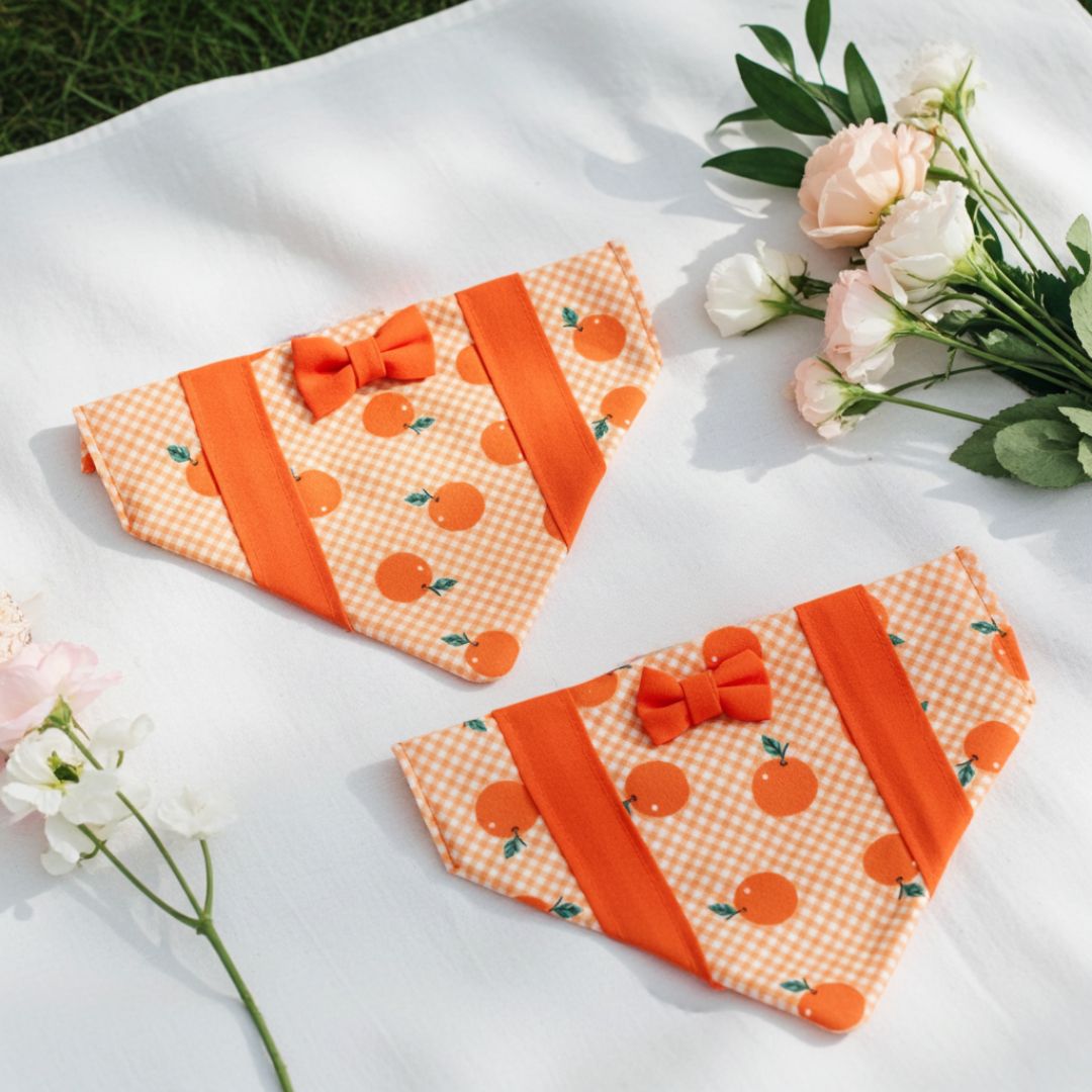 Dog Bandanas from Wags4Whiskers Pet Accessories Store India