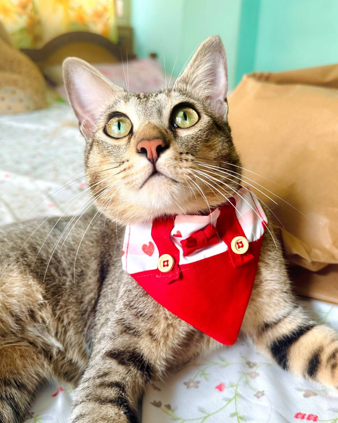 Cat Bandanas from Wags4Whiskers Pet Accessories Store India