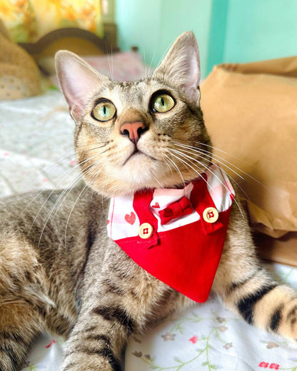 Cat Bandanas from Wags4Whiskers Pet Accessories Store India
