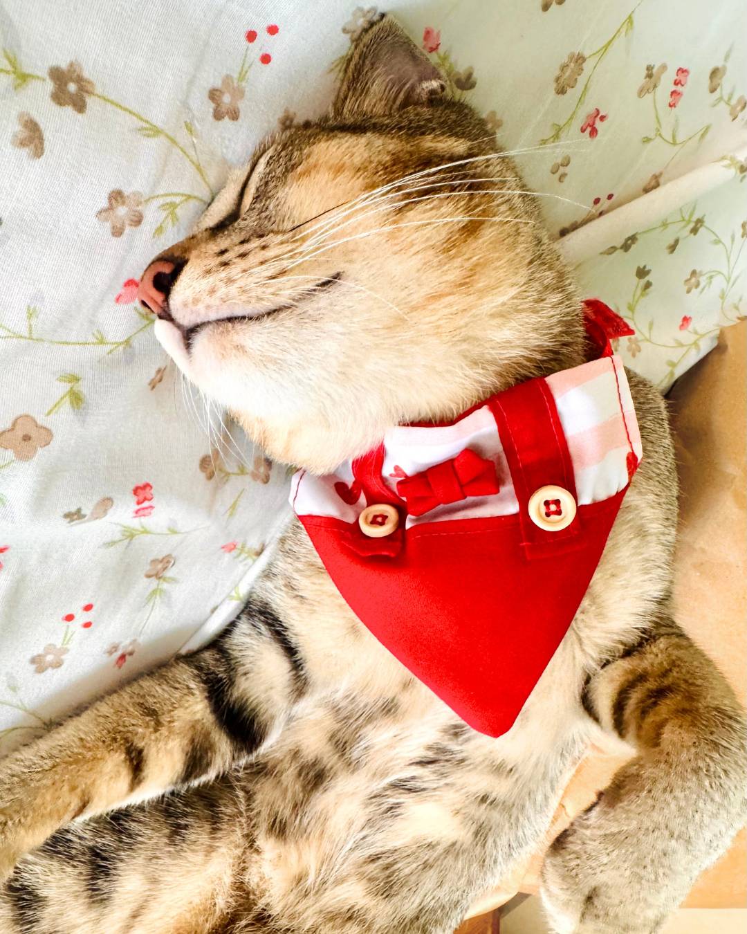Cat Bandanas from Wags4Whiskers Pet Accessories Store India