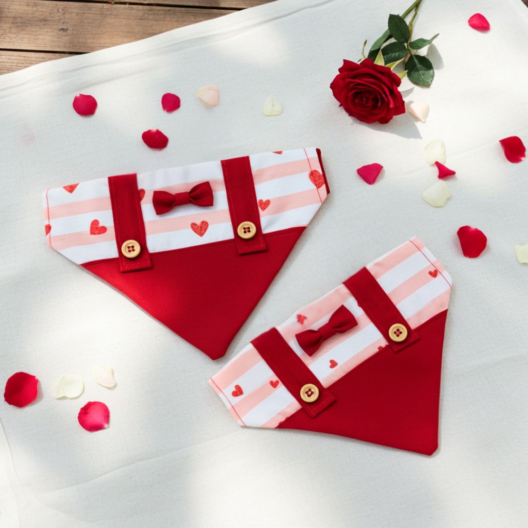 Bandanas for Cats and Dogs from Wags4Whiskers Pet Store India