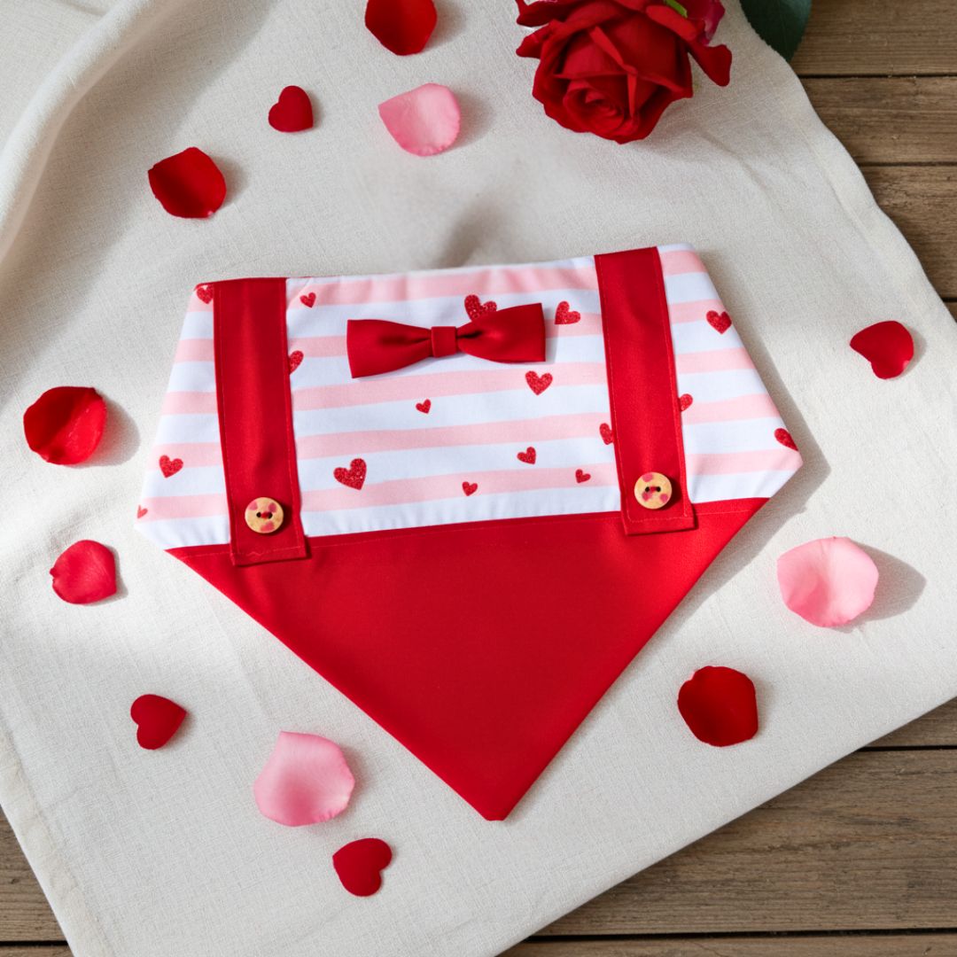 Bandanas for Cats and Dogs from Wags4Whiskers Pet Store India