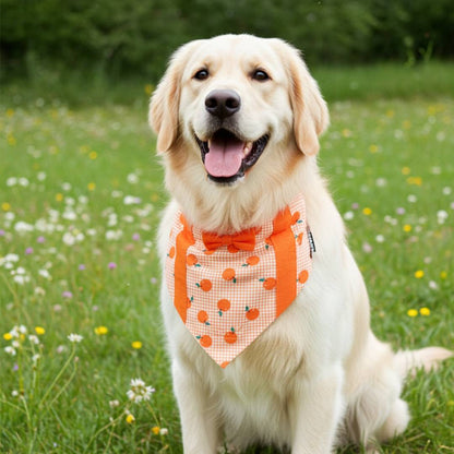 Orange Munchkin Dog Bandana