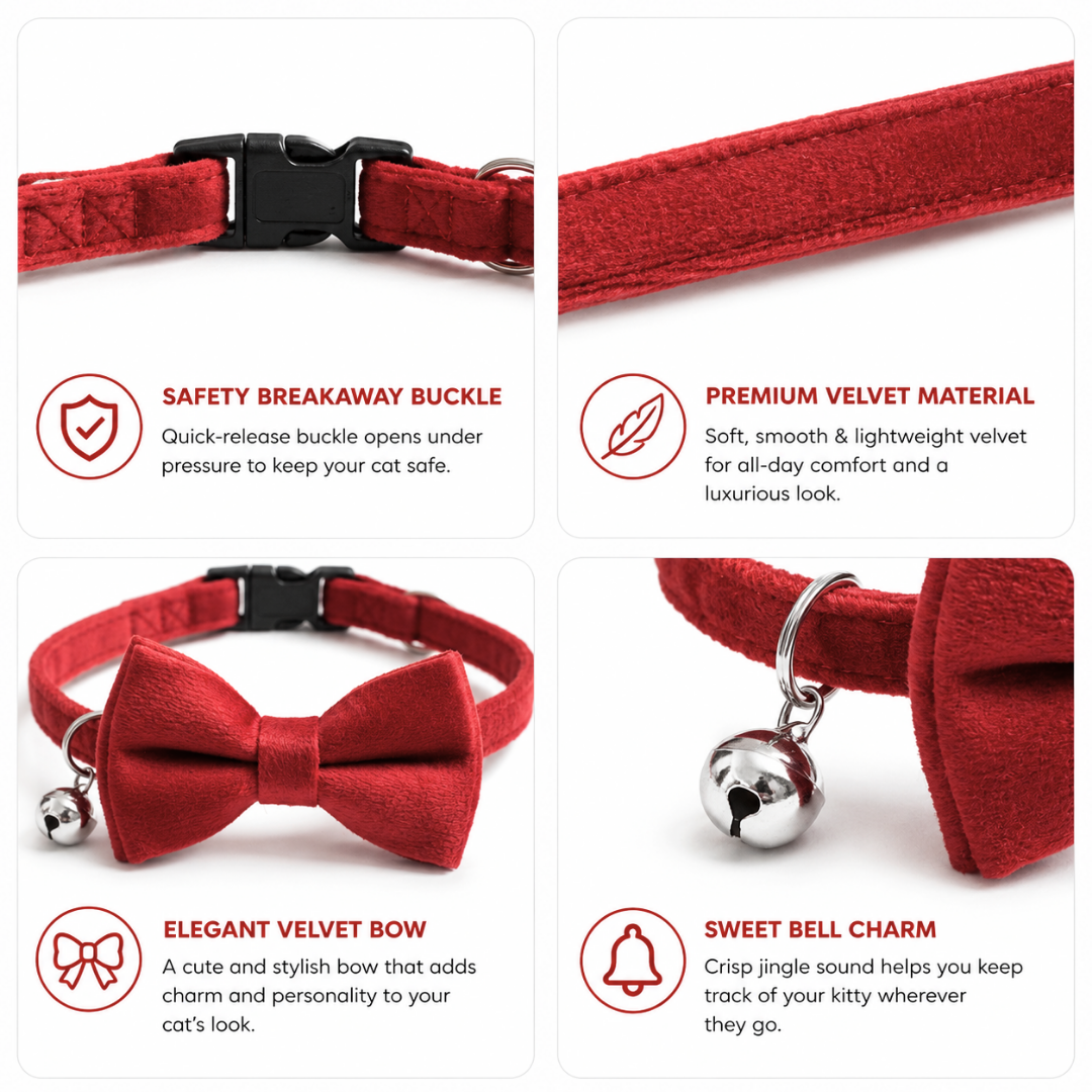 Cat Collars India from Wags4Whiskers Pet Supplies Store