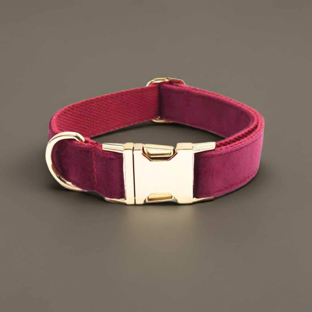 Maroon Velvet Dog Collar