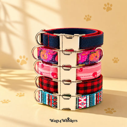 Dog Collars India from Wags4Whiskers Pet Supplies 