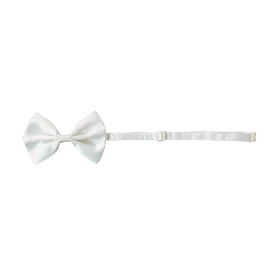 Satin Cat Bowties from Wags4Whiskers Pet Accessories Store India Online