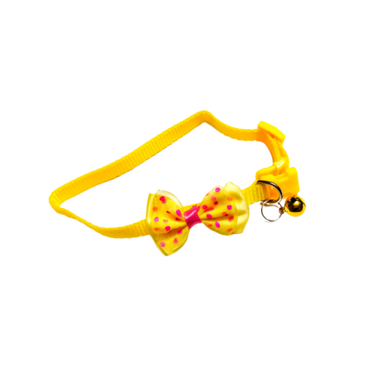 Cat collars and accessories from wags4whiskers Pet Supplies India