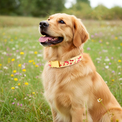 Floral Dog Collar Belts  from Wags4Whiskers Pet Accessories Store India