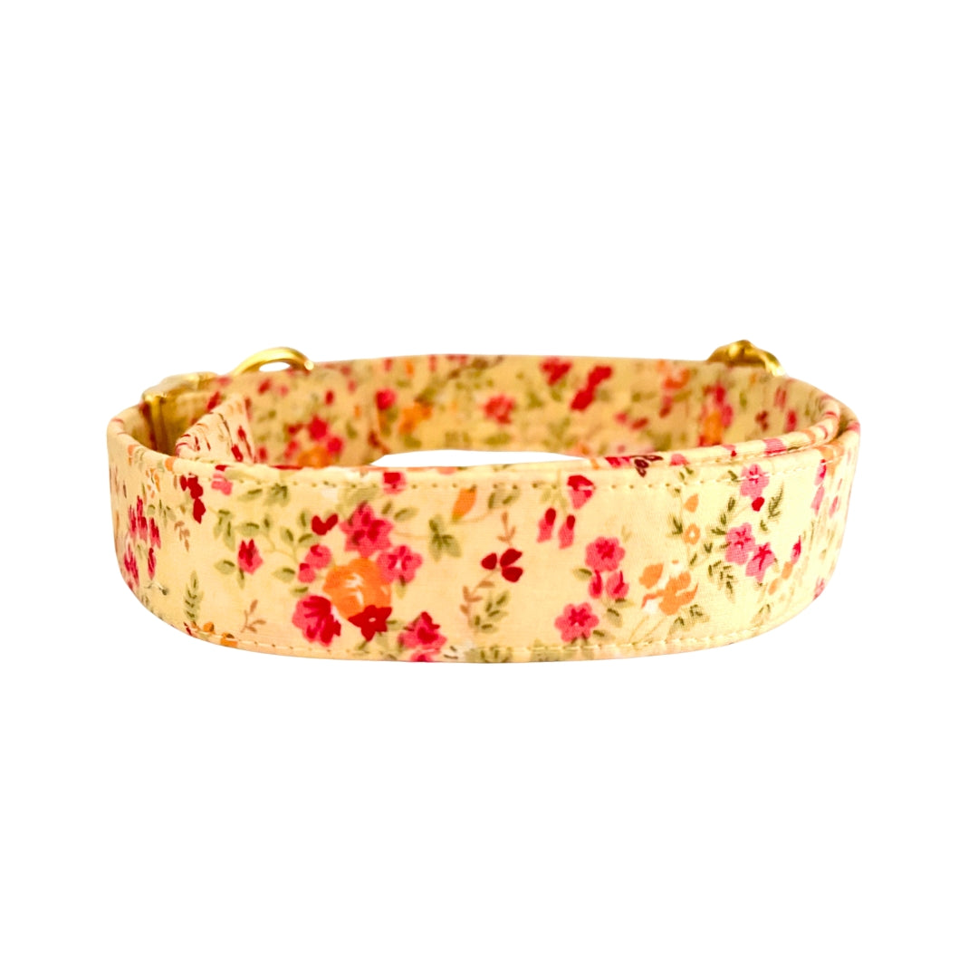 Yellow dog collars from Wags4Whiskers Pet Accessories India