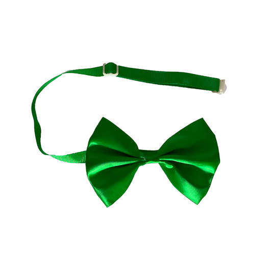 Cat accessories from Wags4Whiskers Pet Supplies Store India
